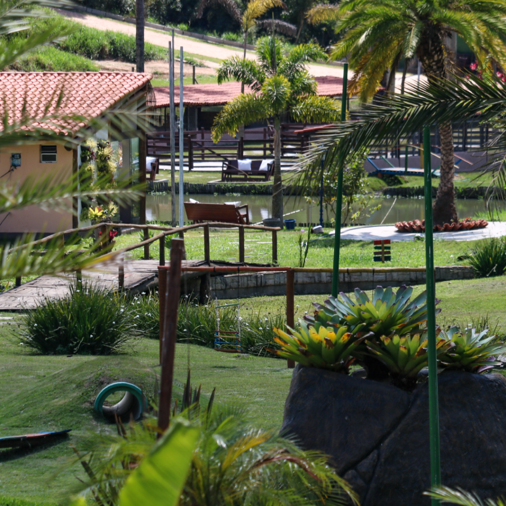 foto-05